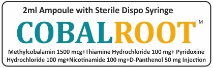 WhatsApp Image 2025-10-17 at 13.13.15 1